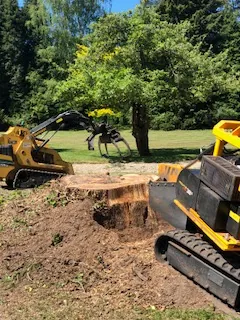 Stump grinder